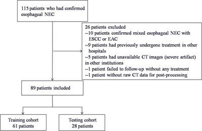 Radiomics model based on contrast-enhanced CT texture features for pretreatment prediction of overall survival in esophageal neuroendocrine carcinoma